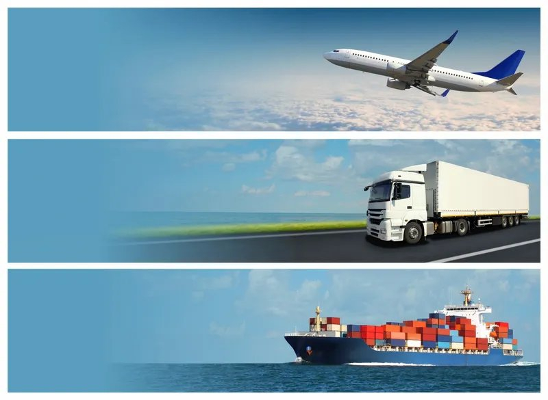 TK Chicken Hub and Exports