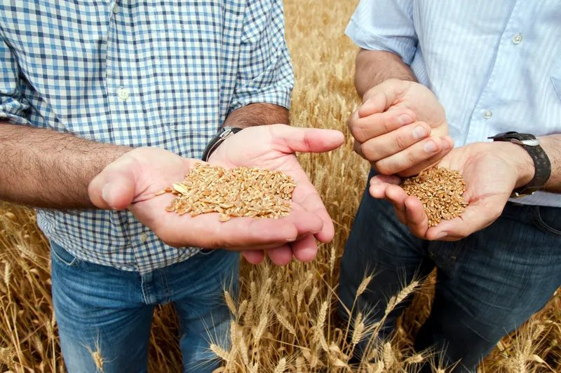 Our Farmers are Our Backbone